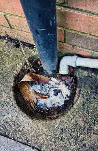 https://scarboroughplumber.com.au/uploads/2025/06/blocked-drains-294506.jpg